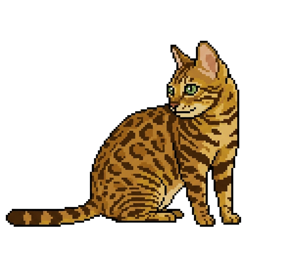 Julius the Bengal cat